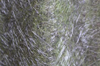 Pikeshill fibreglass roof work